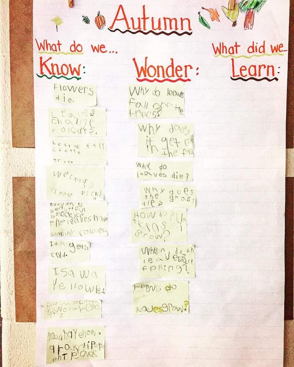 11 KWL CHARTS Ideas Kwl Chart Kwl Chart Example Kwl Chart Template