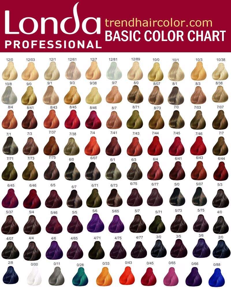 Blonde Hair Types Chart In PDF Illustrator Download Template