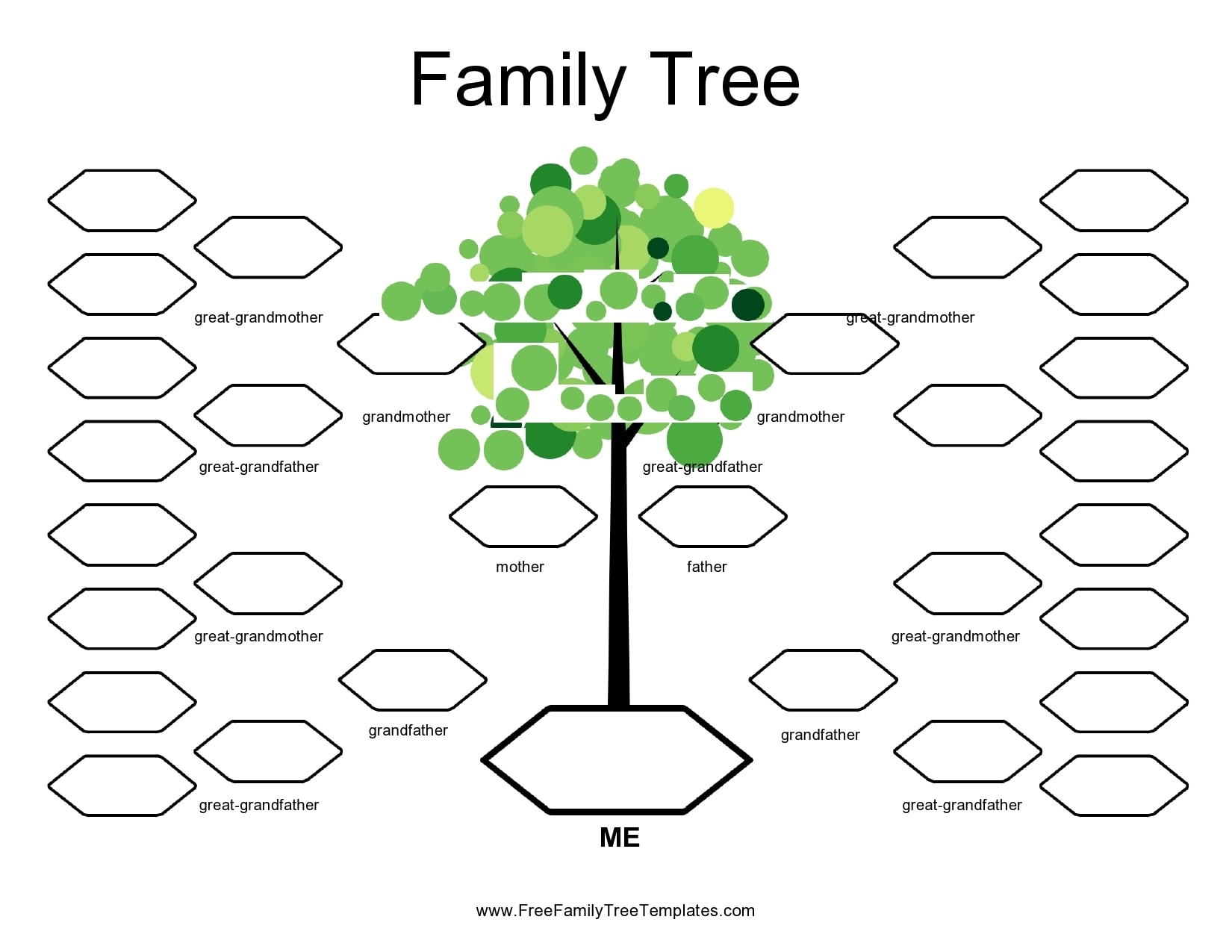 30 Editable Family Tree Templates 100 Free TemplateArchive 30 Editable Family Tree Templates 100 Free TemplateArchive