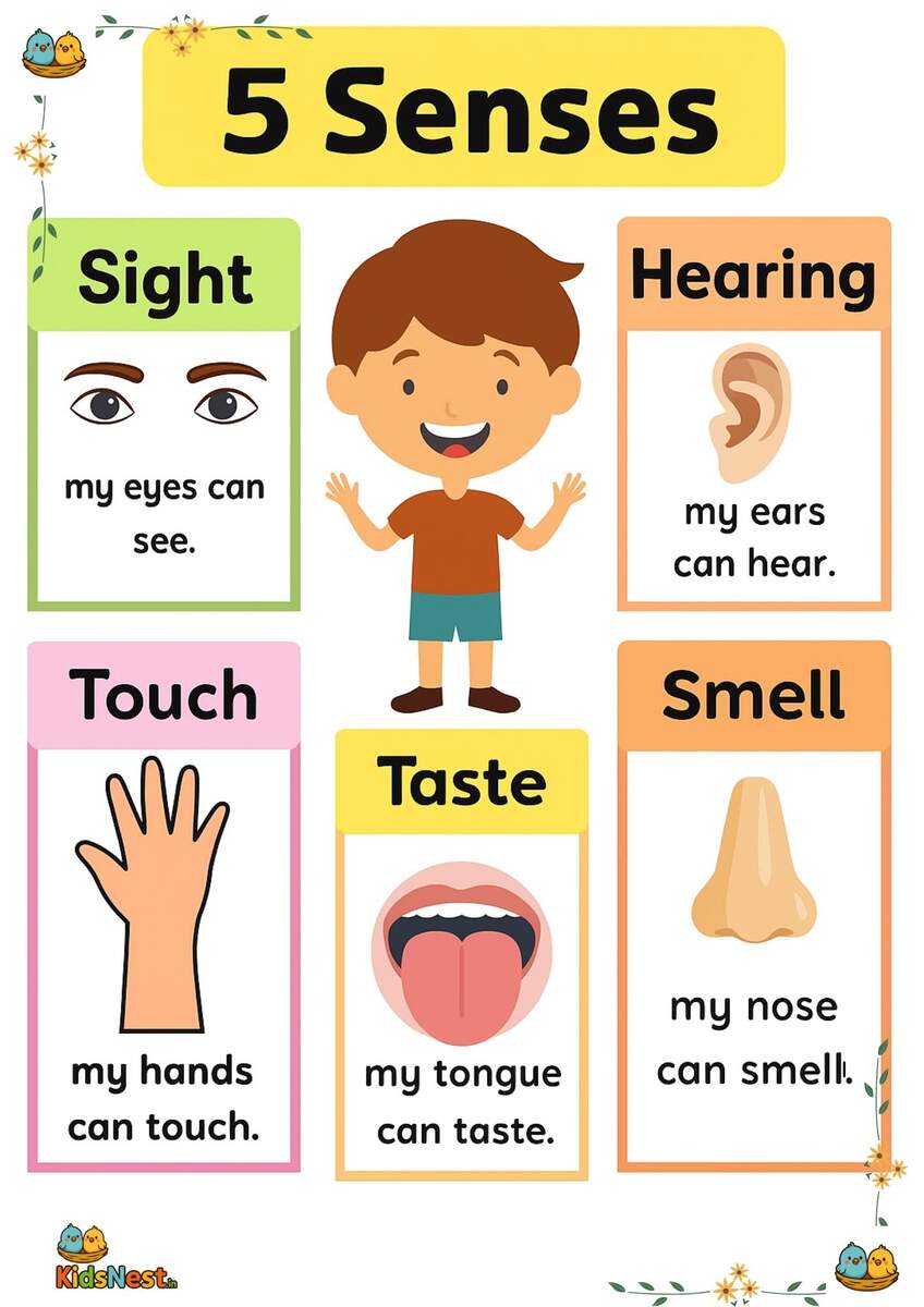 5 Senses Chart Poster Printable Activity For Kids 5 Senses Chart Poster Printable Activity For Kids