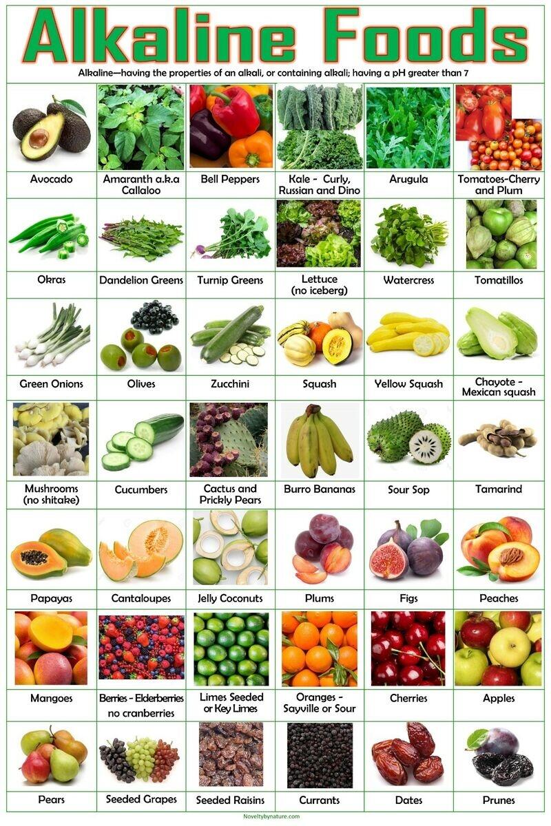 Alkaline Foods Poster Alkaline Vegetables Alkaline Fruits Dr Sebi Food List EBay Alkaline Foods Poster Alkaline Vegetables Alkaline Fruits Dr Sebi Food List EBay