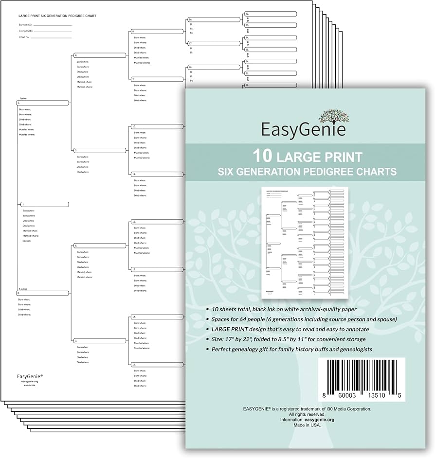 Amazon EASYGENIE 10 LARGE PRINT Six Generation Pedigree Charts For Ancestry Archival Quality Genealogy Forms Office Products Amazon EASYGENIE 10 LARGE PRINT Six Generation Pedigree Charts For Ancestry Archival Quality Genealogy Forms Office Products