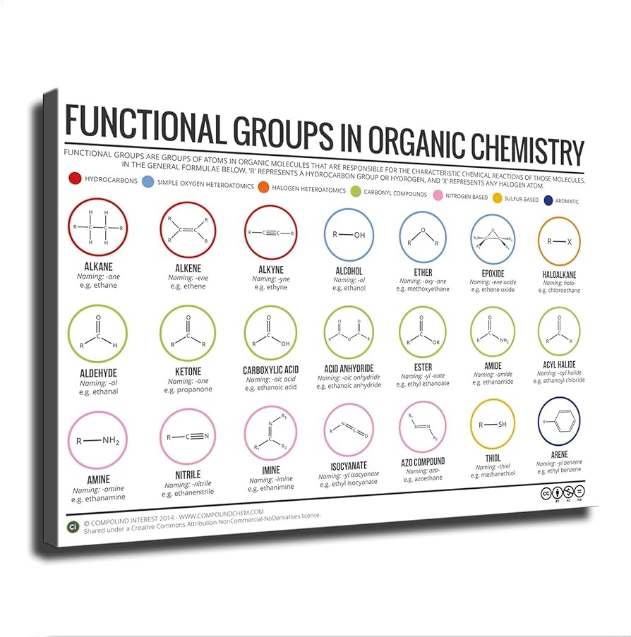 Amazon Functional Groups In Organic Chemistry Equastions Educate Poster Wall Art Canvas Painting HD Picture Print For Modern Family Living Room Bedroom Background Wall Decor 20 30inch Framed Posters Prints