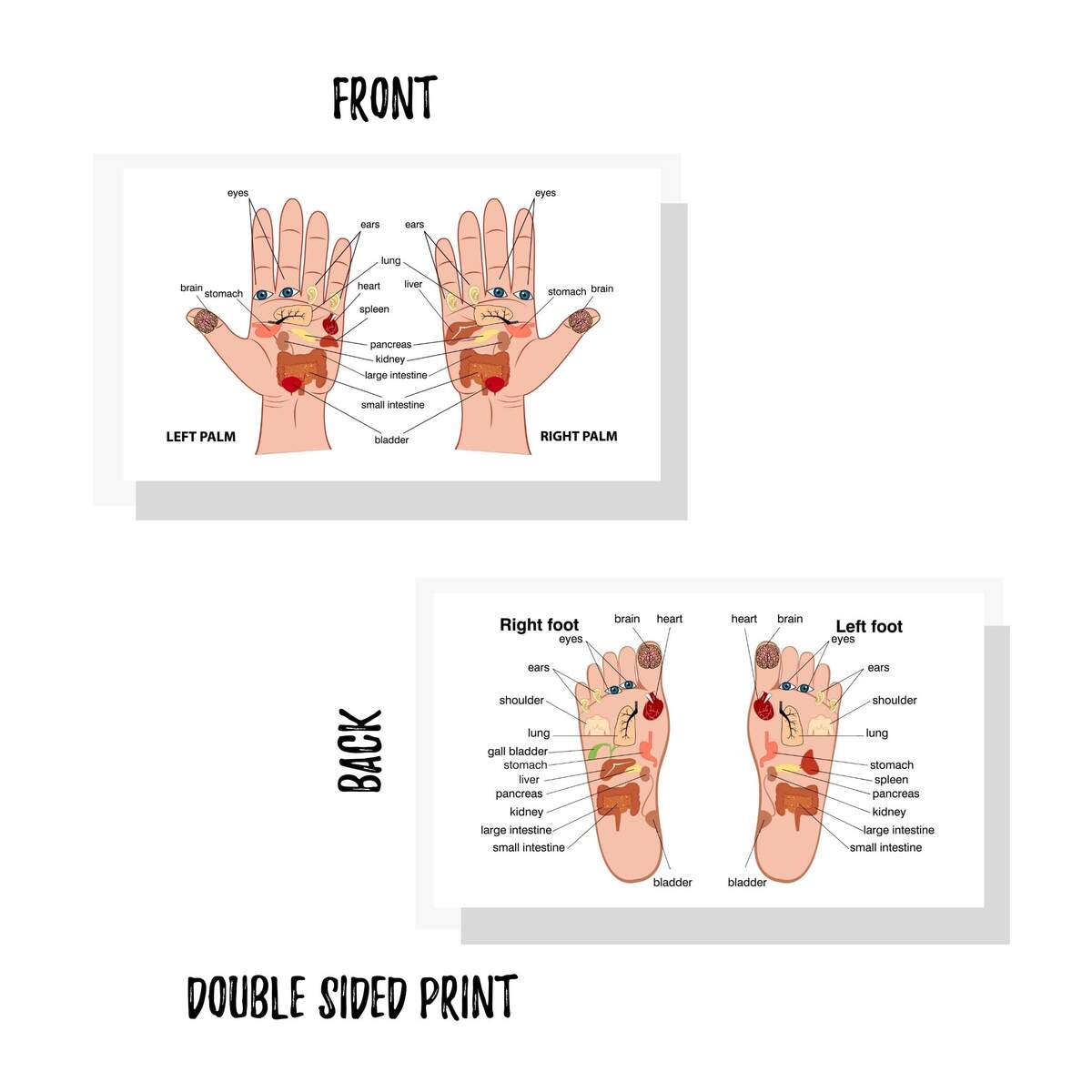Amazon Lashicorn Reflexology Chart For Hand And Foot 50 Pack 2 X 3 5 Inches Business Sized Card Reflexology Massage Acupressure Body Treatment Health Household