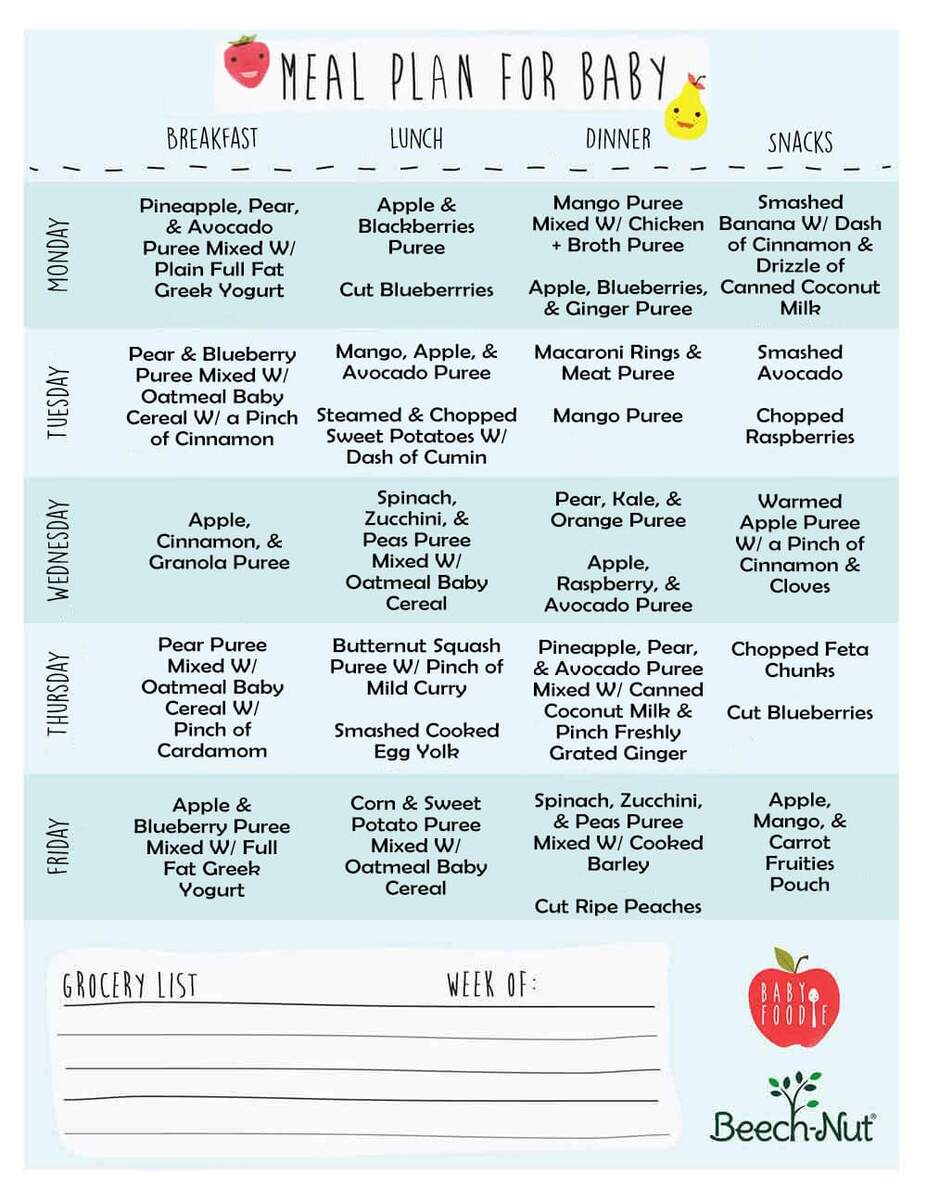 Baby Meal Plan Beech Nut