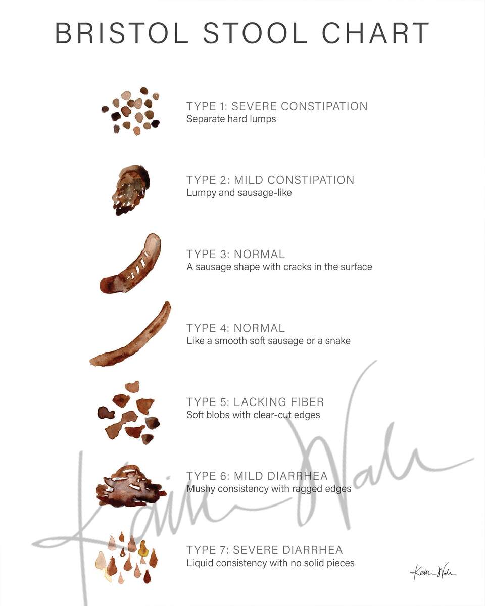 Bristol Stool Chart Watercolor Print Stool Chart GI Painting Poop Chart Etsy Bristol Stool Chart Watercolor Print Stool Chart GI Painting Poop Chart Etsy