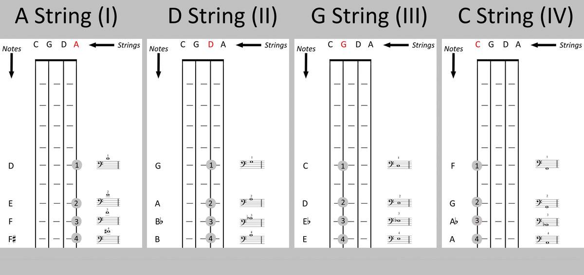 Cello Fingerboard Chart The Cello Companion Cello Fingerboard Chart The Cello Companion