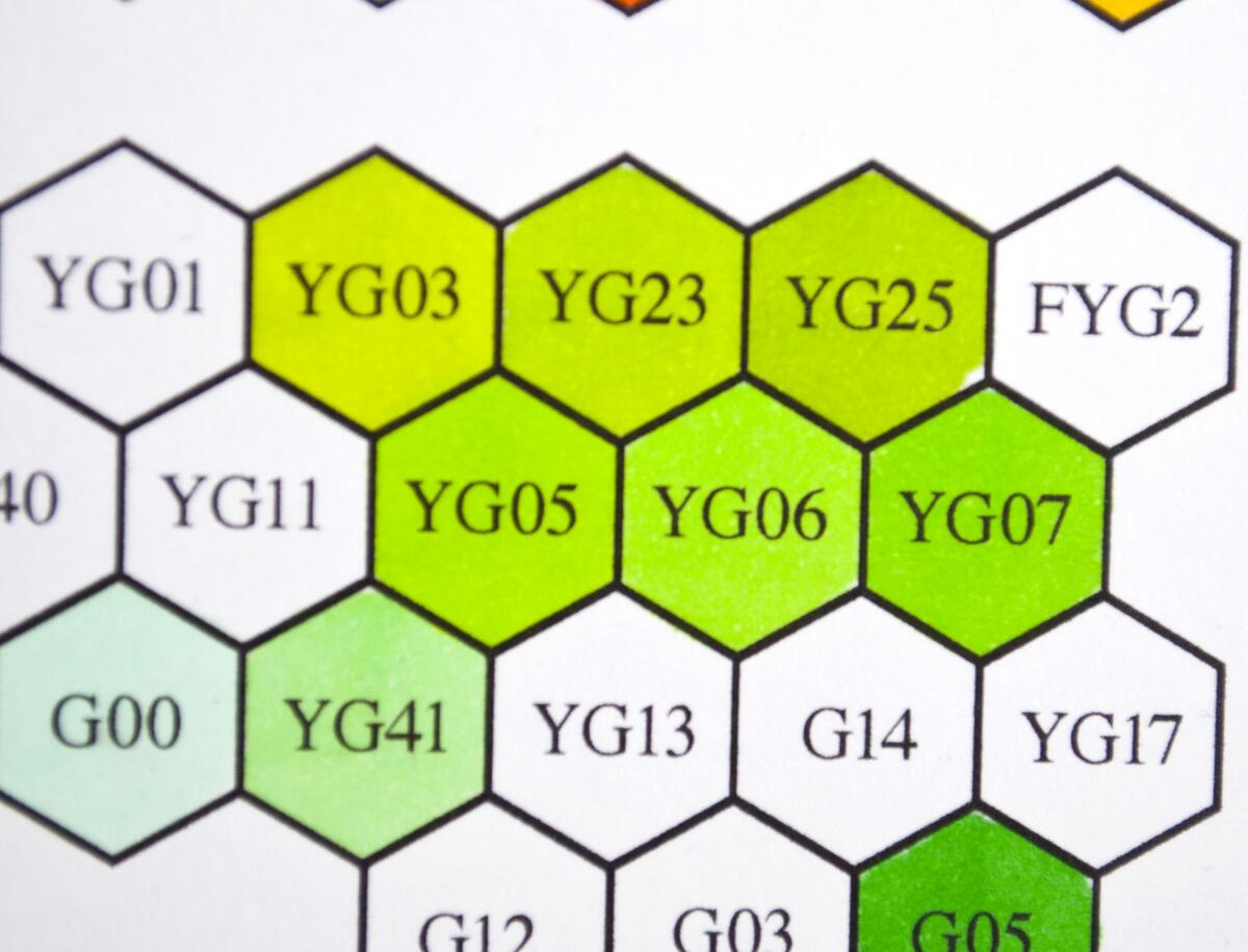 Chart Blank Copic Color List Blank Copic Marker Hex Chart Printable Blank Hex Chart You Re Chart Blank Copic Color List Blank Copic Marker Hex Chart Printable Blank Hex Chart You Re