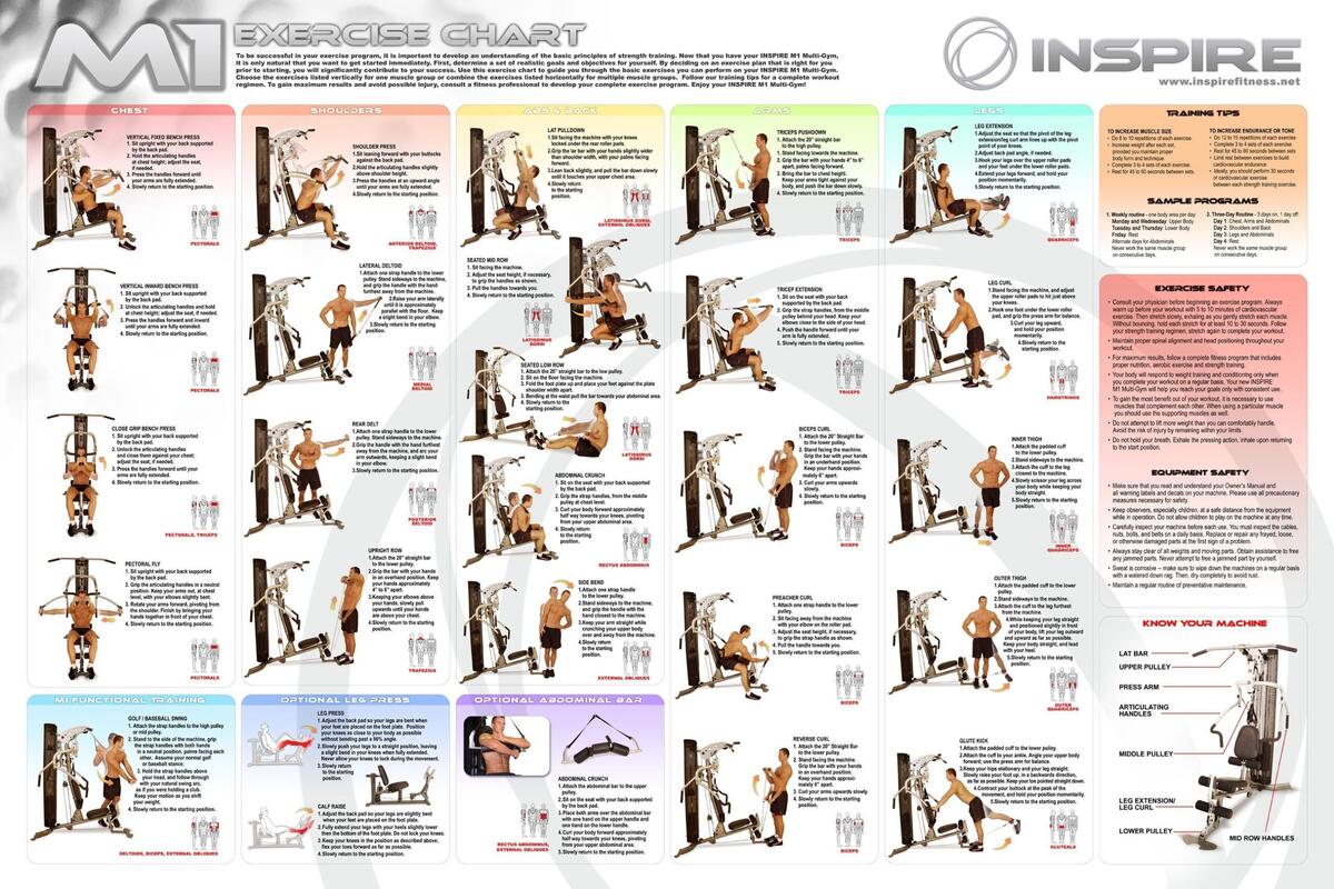 Chart Bowflex Exercise Guide Multi Gym Bowflex Ultimate Exercise Wall Chart Printable Bowflex Chart Bowflex Exercise Guide Multi Gym Bowflex Ultimate Exercise Wall Chart Printable Bowflex
