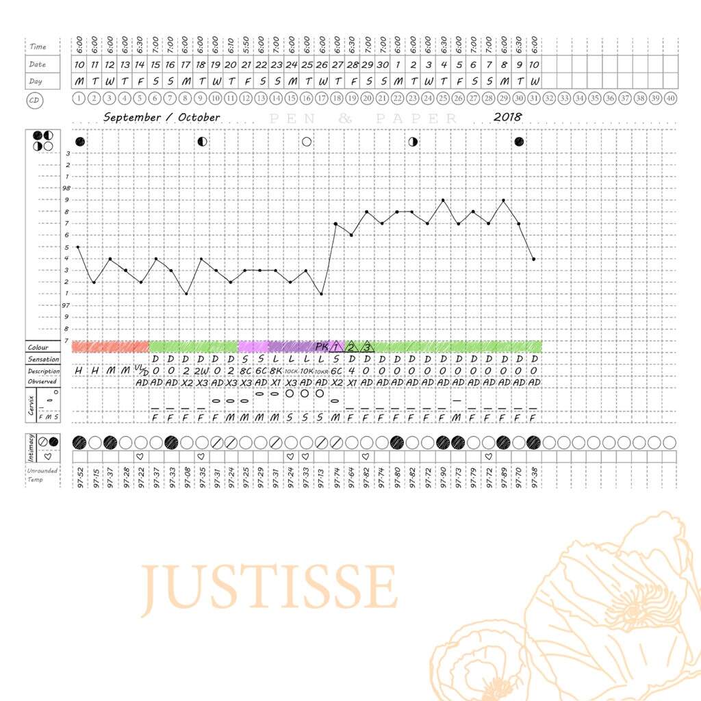 Chart Layouts Fertility Charting Chart Layouts Fertility Charting