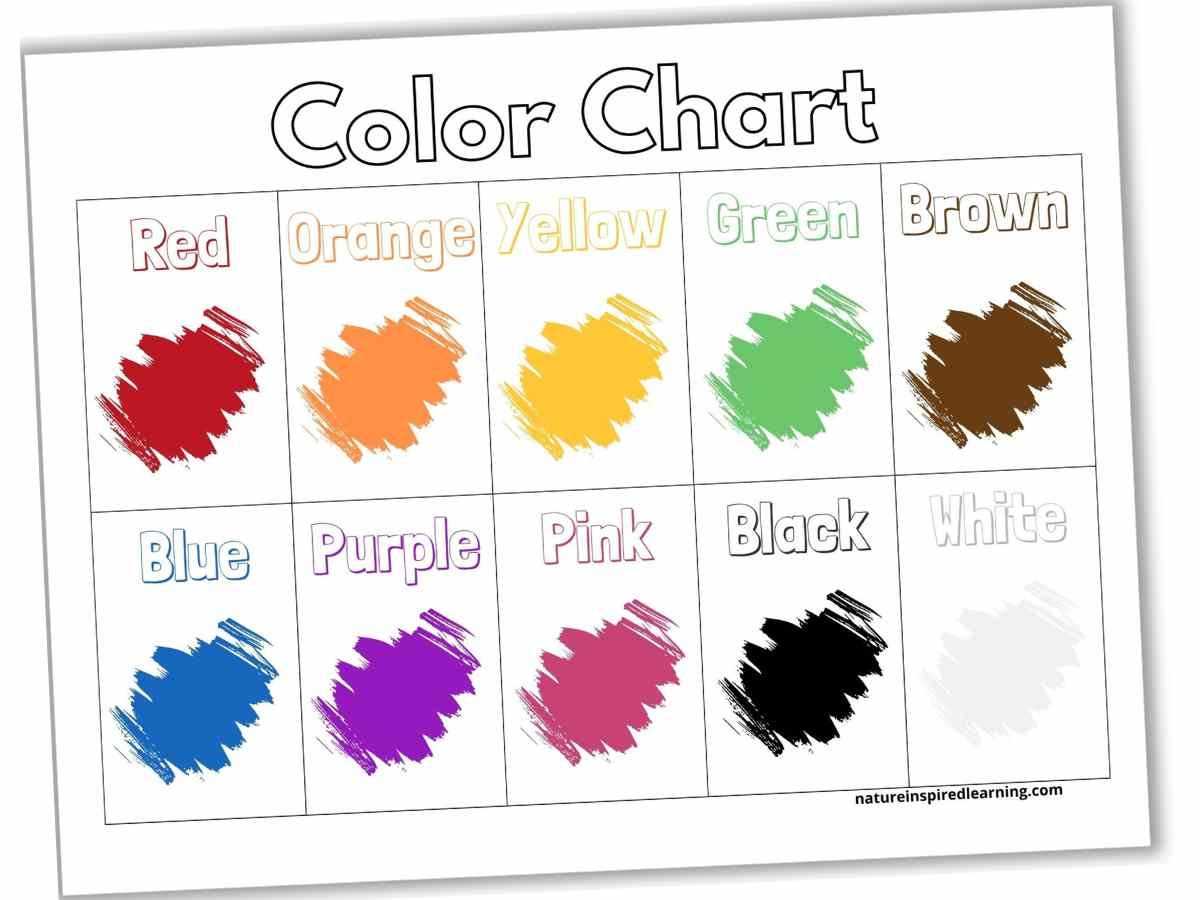 Free CMYK Chart Printable PDF Download Design Resources