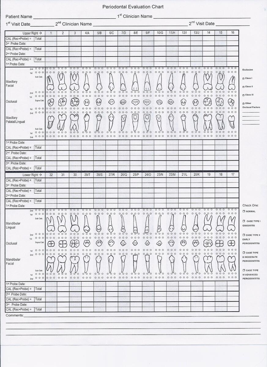 Tooth Chart Full Sheet 15 Free PDF Printables Printablee