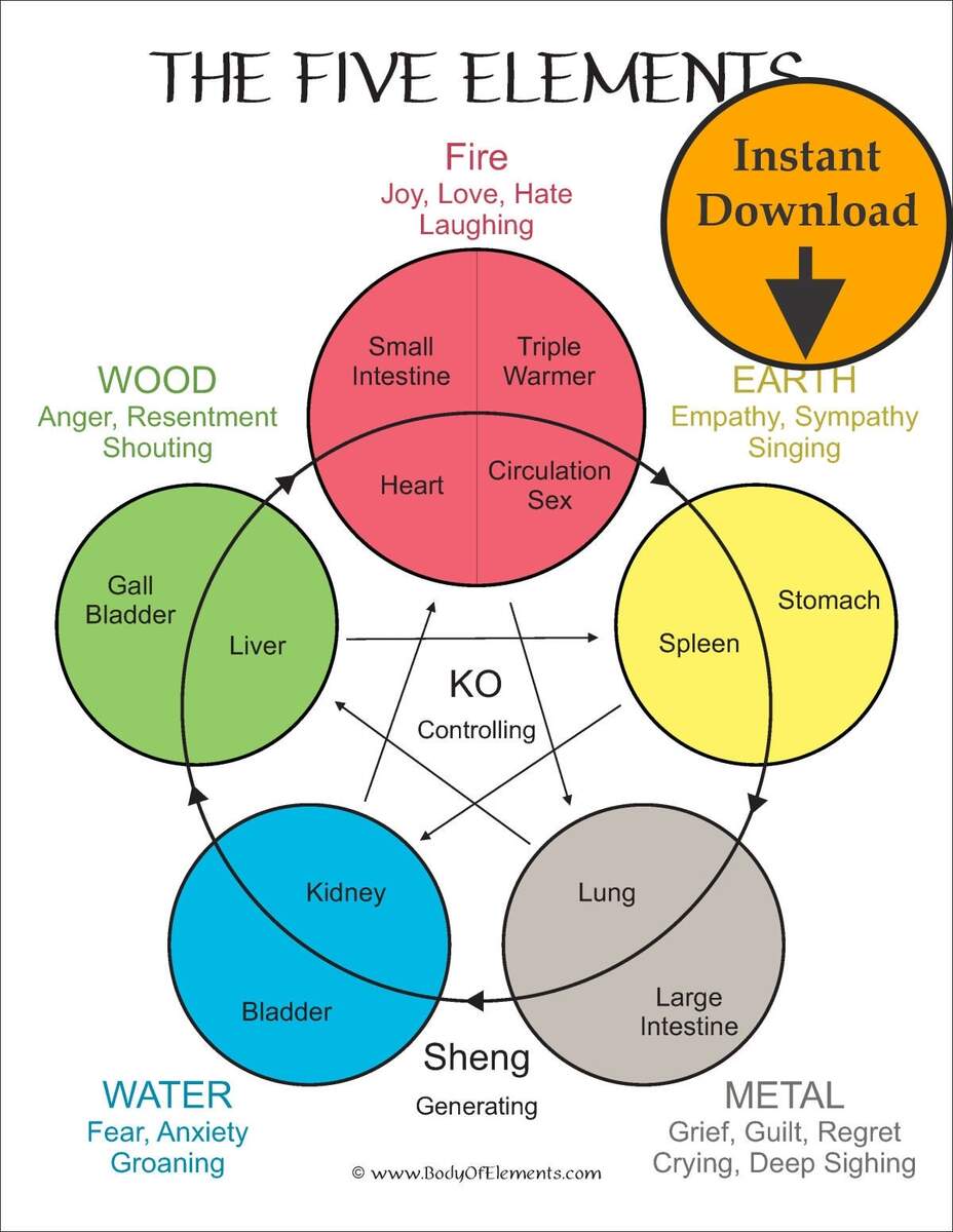 Five Elements Of Acupuncture Digital Print Download Traditional Chinese Medicine Wall Art Etsy