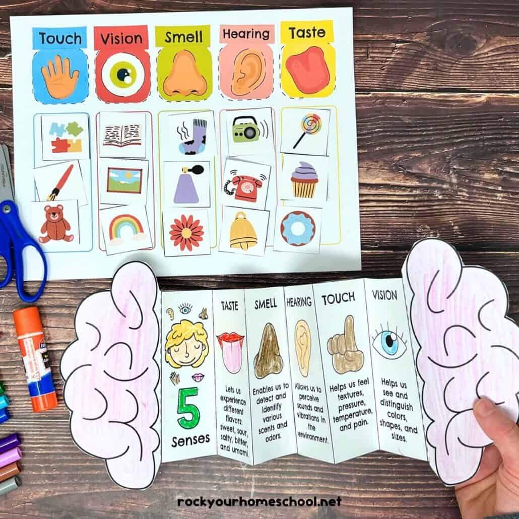 Five Senses Printables Pack For Sorting Fun And More Free Rock Your Homeschool Five Senses Printables Pack For Sorting Fun And More Free Rock Your Homeschool
