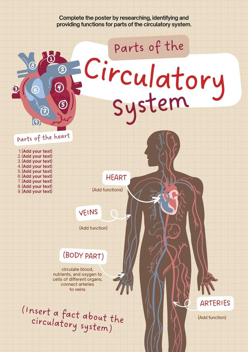 Free Editable Printable Anatomy Poster Templates Canva Free Editable Printable Anatomy Poster Templates Canva