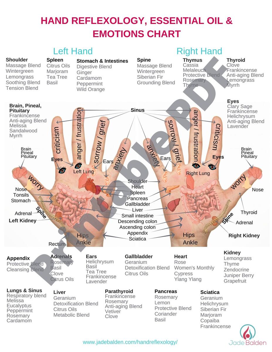 Hand Reflexology Chart PDF Printable Etsy Hand Reflexology Charts