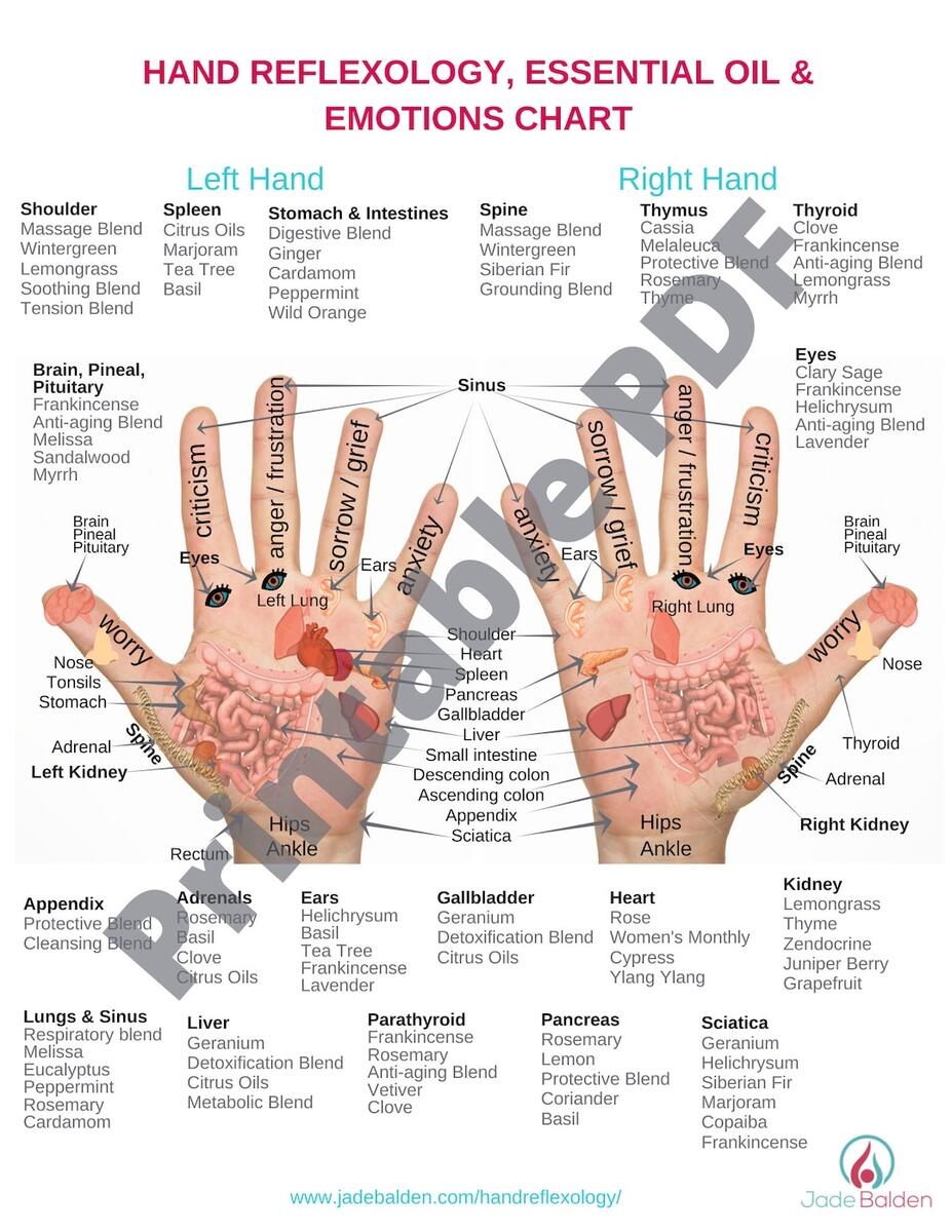 Hand Reflexology Chart PDF Printable Etsy
