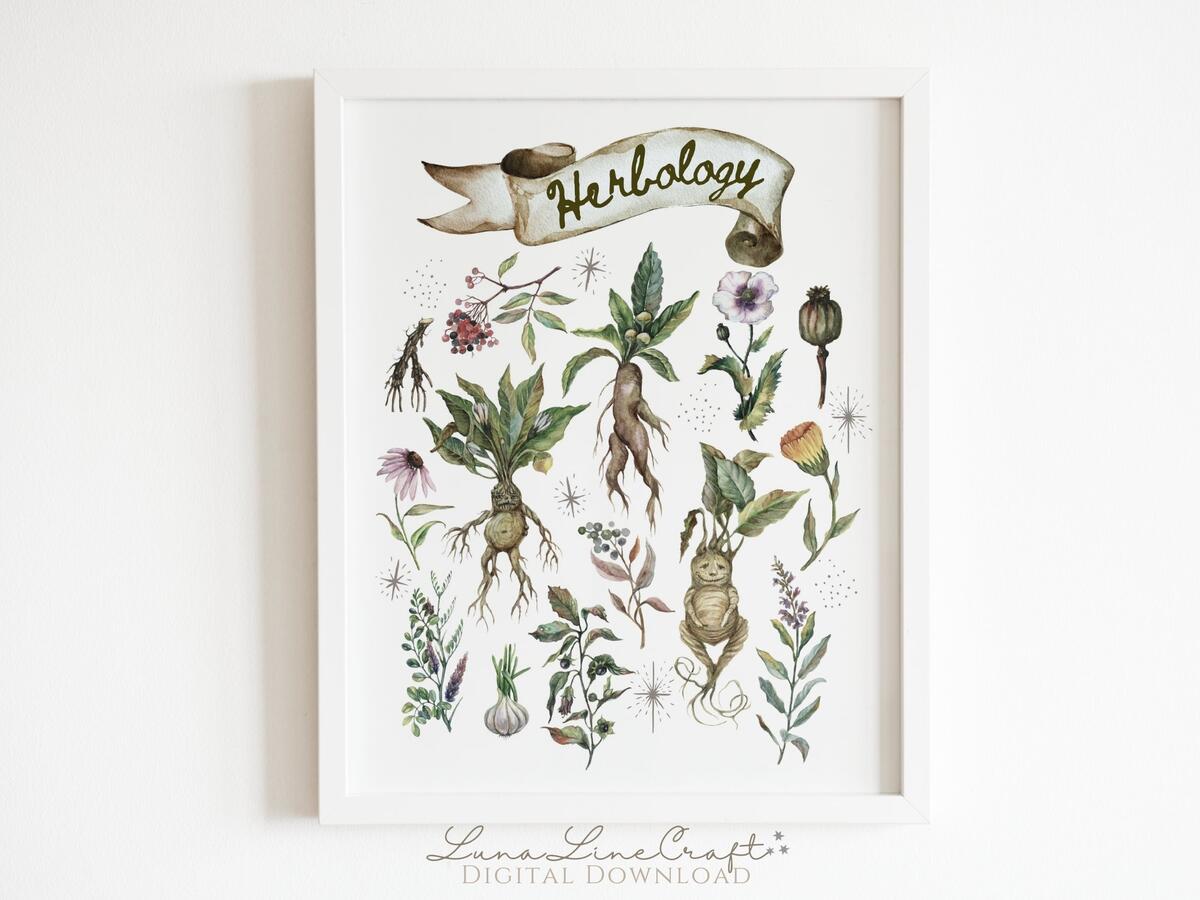 Herbology Medicinal Plant Chart Magic Botanical Watercolor Printable Wall Art Whimsical Wizarding Kitchen Decor Digital Download Etsy Herbology Medicinal Plant Chart Magic Botanical Watercolor Printable Wall Art Whimsical Wizarding Kitchen Decor Digital Download Etsy