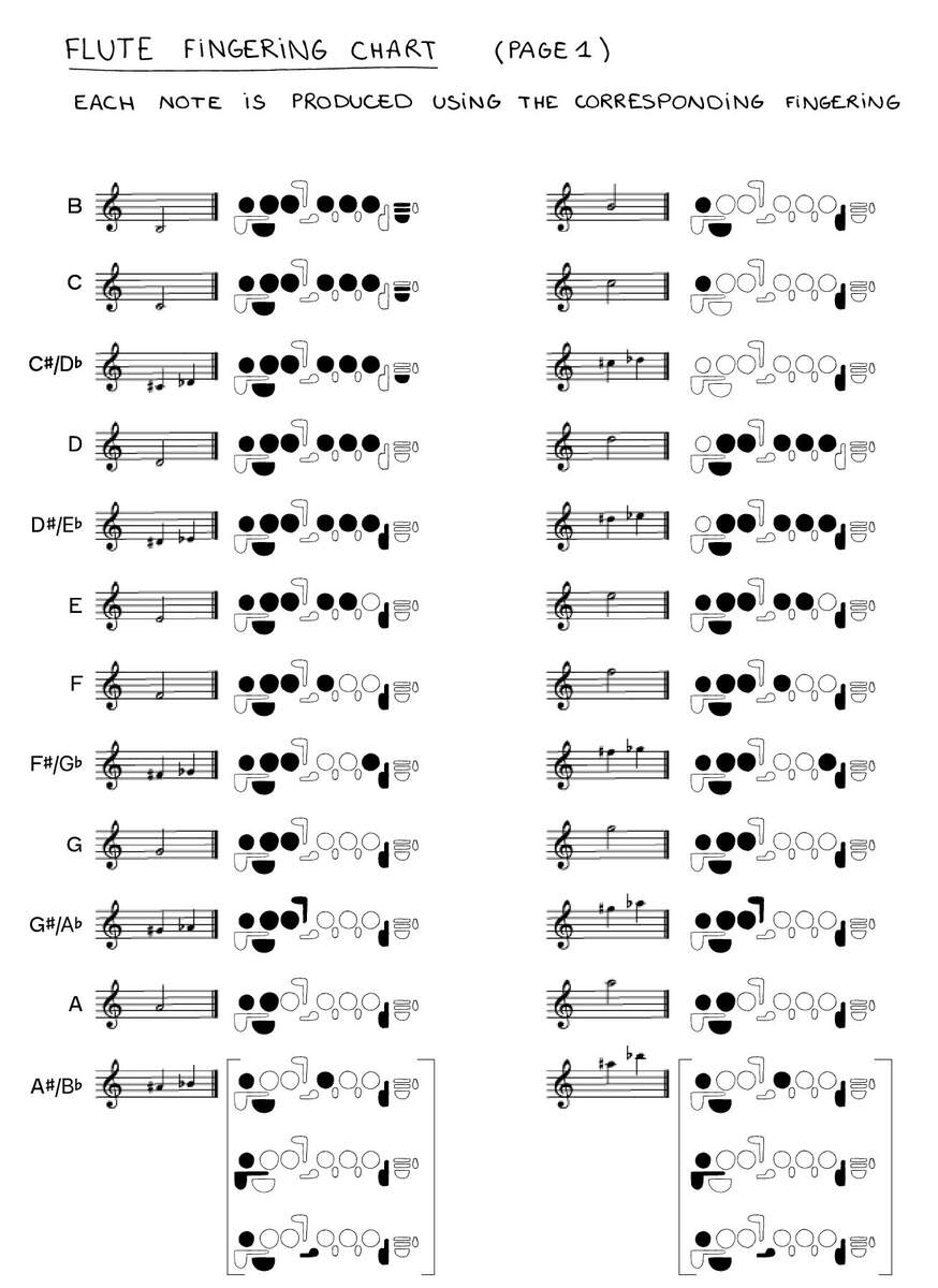 How To Read Flute Sheet Music A Beginner S Guide Nkoda