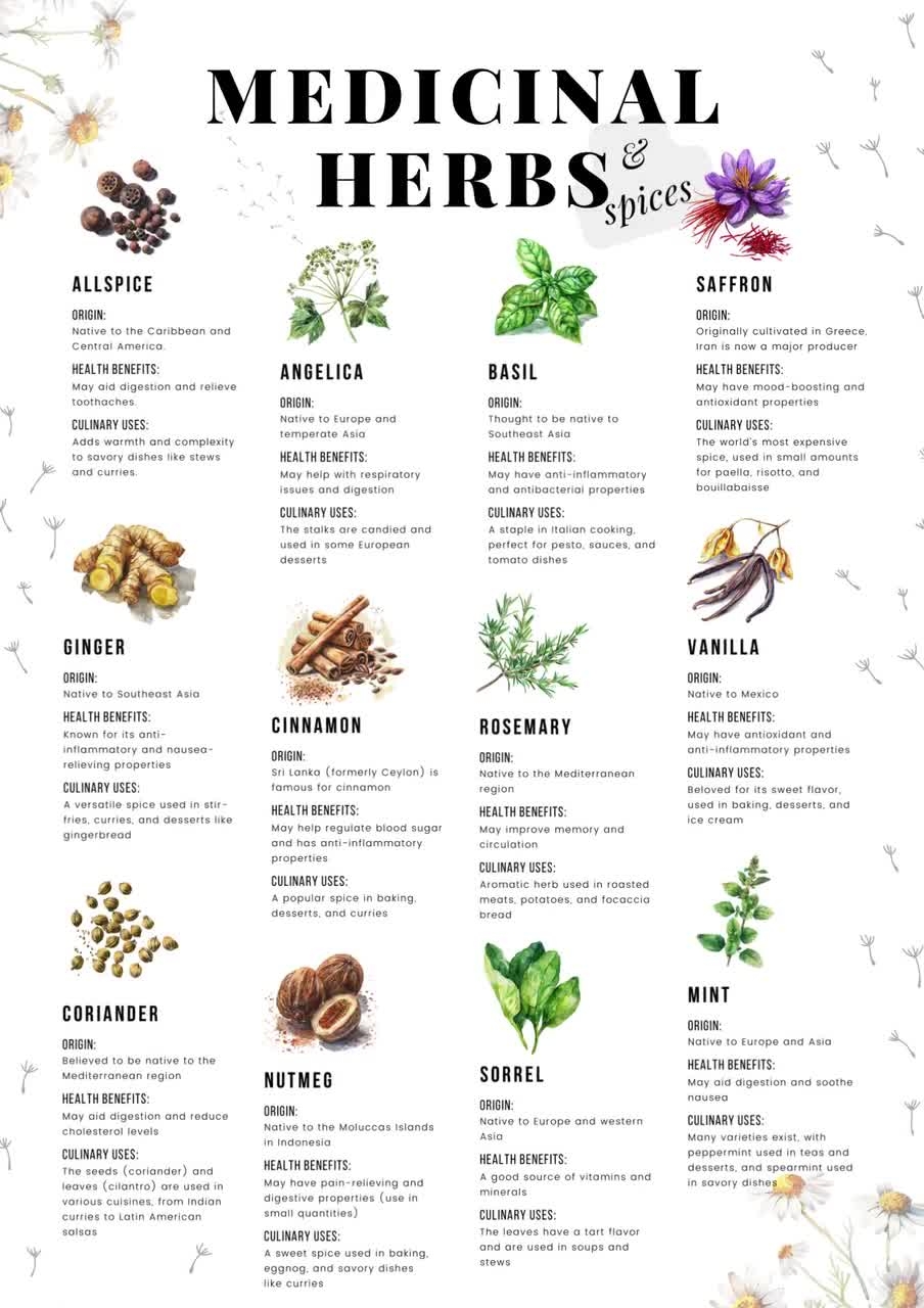 Medicinal Herbs Poster Spice Guide Herb Chart Kitchen Decor Culinary Herbs Spices Health Benefits Cooking With Herbs Gift For Health Nut Etsy Medicinal Herbs Reference Chart List Of Herbs Printable Herbal Printable Herb Chart Common Herbs Reference Sheet Herbalism Printable Etsy
