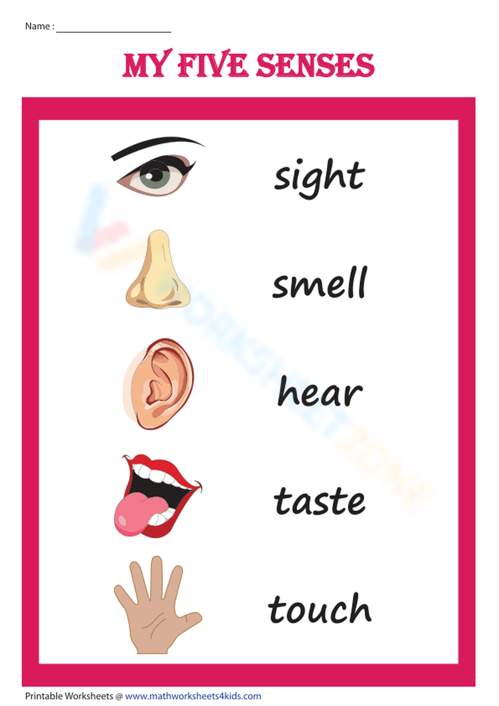 My Five Senses Chart Worksheet My Five Senses Chart Worksheet