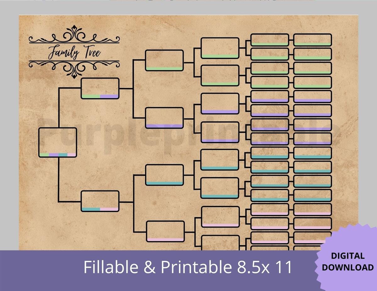 Pedigree Chart03 Color Coded 6 Generation Family Tree Chart Pedigree Chart Genealogy Template Ancestral Color Coded Chart Etsy Pedigree Chart03 Color Coded 6 Generation Family Tree Chart Pedigree Chart Genealogy Template Ancestral Color Coded Chart Etsy