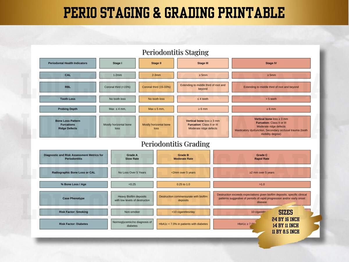 Periodontal Staging And Grading Chart Etsy Periodontitis Staging And Grading Oral Health Group