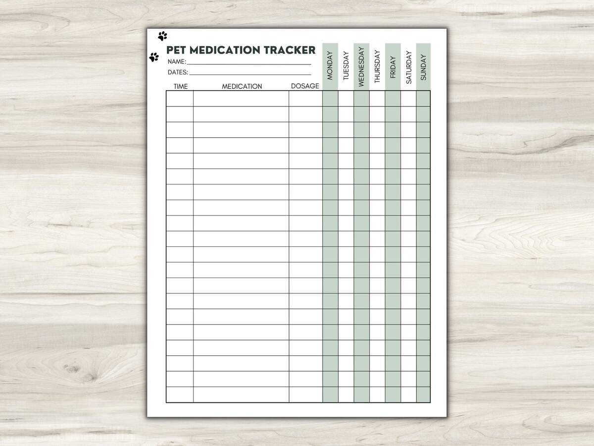Pet Medication Etsy Pet Medication Etsy