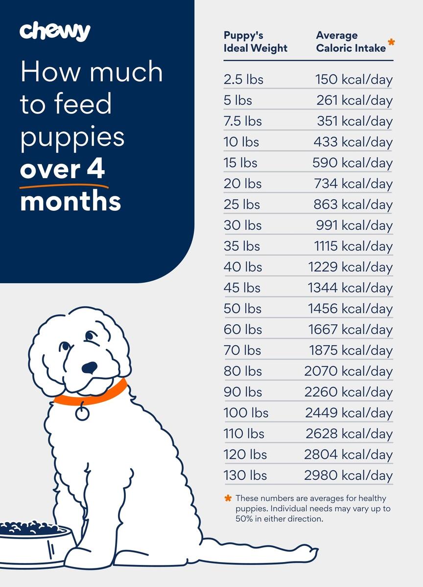 Puppy Feeding Guide How Much To Feed A Puppy Chewy