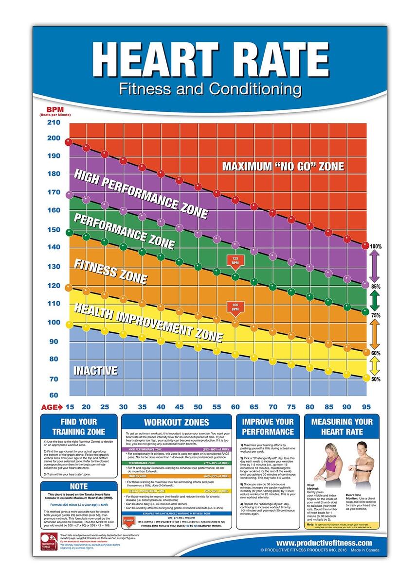 Exercise Heart Rate Chart By Age And Gender In PDF Download Template