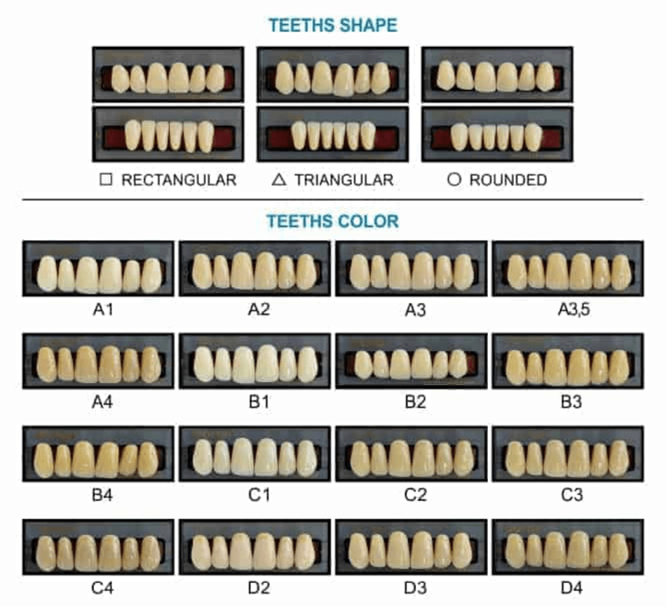 Teeth Shape And Teeth Color Chart Download Printable PDF Templateroller Teeth Shape And Teeth Color Chart Download Printable PDF Templateroller