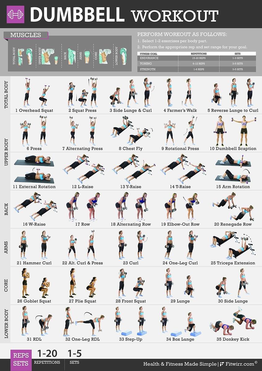 Upper Body Free Workout Plans Pdf Upper Body Gym Workout Chart Hd Upper Body Dumbbell Printable Printable Dumbell And Bench Workout Printable Dumbbell Workout With Bench Printable In Home Gym For