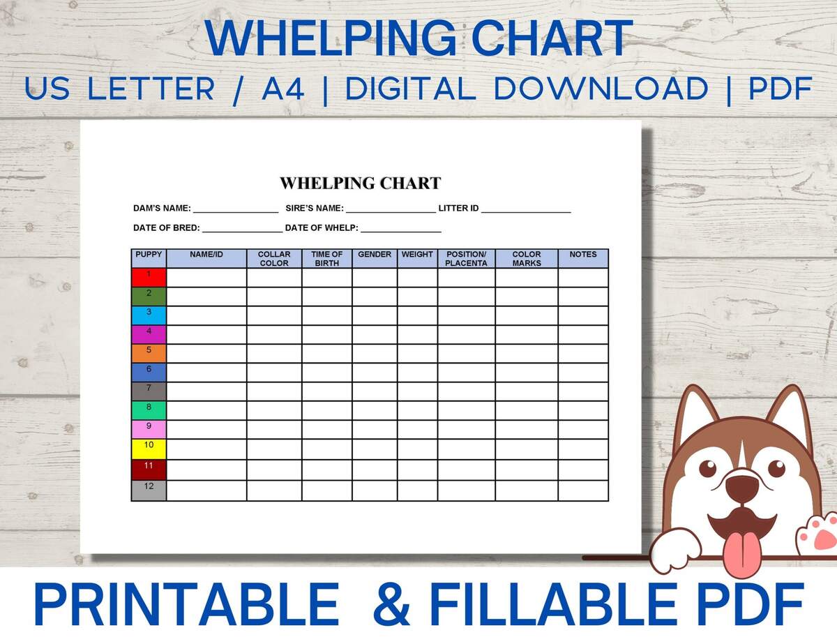 Whelping Chart Editable Whelping Record Puppy Whelping Breeder Forms Printable PDF Instant Download Etsy Dog Whelping Chart Template Puppy Weight Tracker Digital Download Etsy