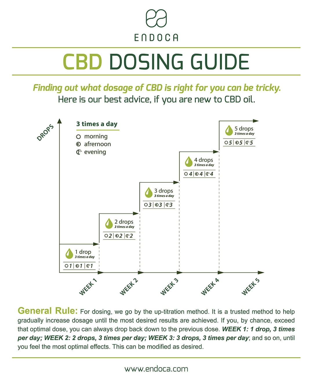 CBD Tracker Journal Printable PDF Digital Download Etsy New Zealand