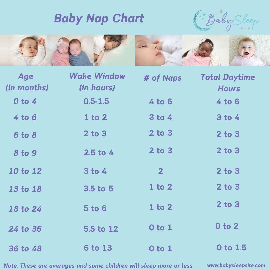 Chart Infant Sleeping Pattern Schedule Baby Sleep Cycles Months Sleep Patterns Baby Sleeping All