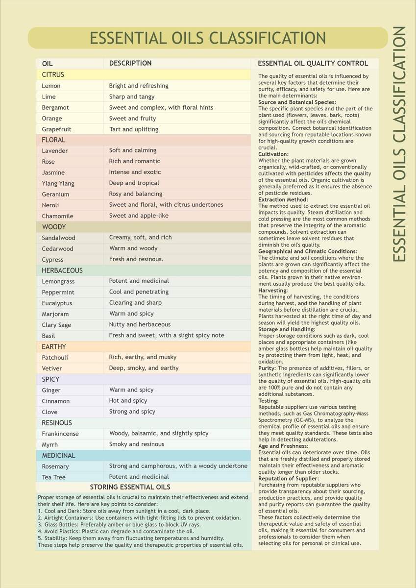 Essential Oils Blending Guide 30 Oils 800 Blends PDF Etsy