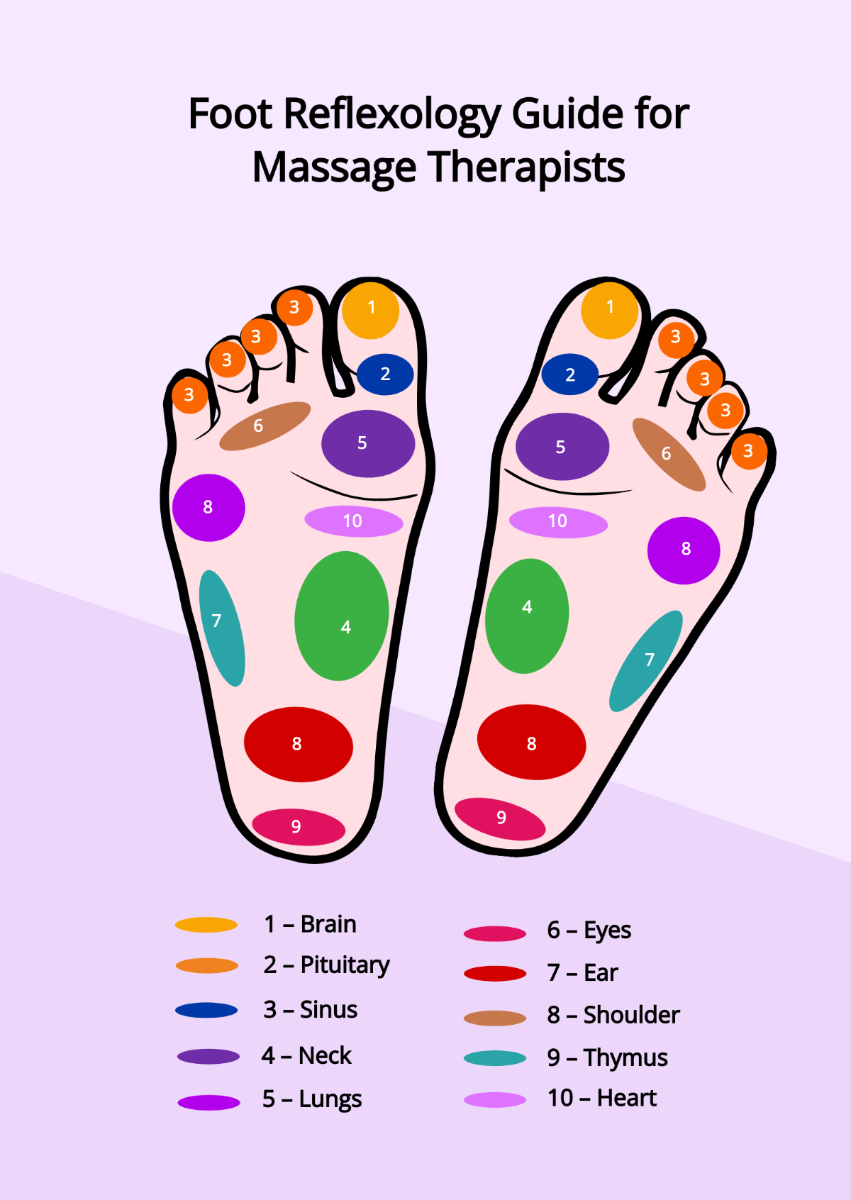 Free Massage Therapist Foot Reflexology Chart Template To Edit Online