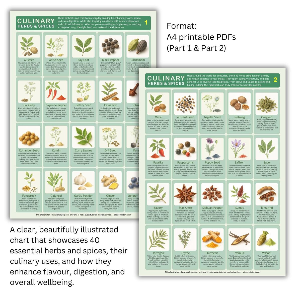 Herbs Spices Kitchen Chart Set Illustrated Cooking Guide Digital PDF A4 US Letter Etsy Israel