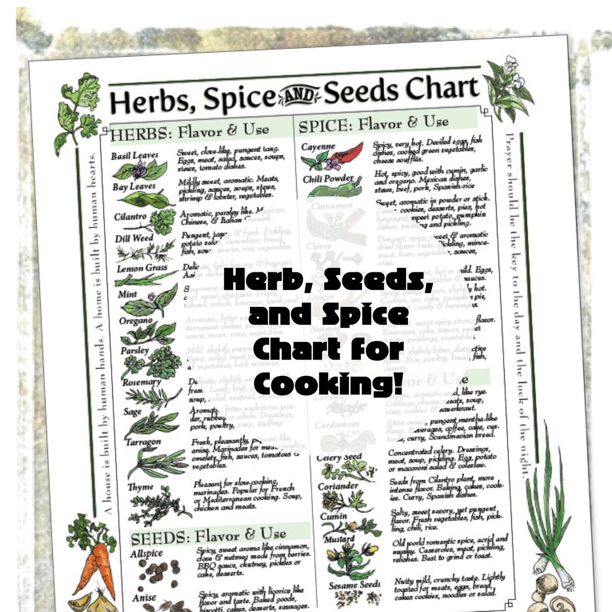 Laminated 8 5 X 11 Cooking Herb Spice Chart Etsy