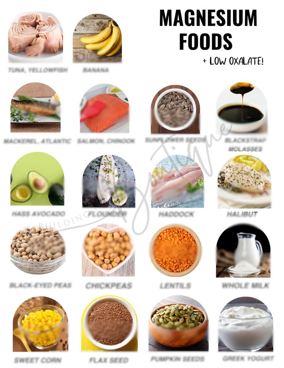 High Magnesium Foods Poster List PRINTABLE DOWNLOADS Patient Education Guide Food Planner Cheat Sheet For Healthy Eating 1 Page PDF Etsy Norway