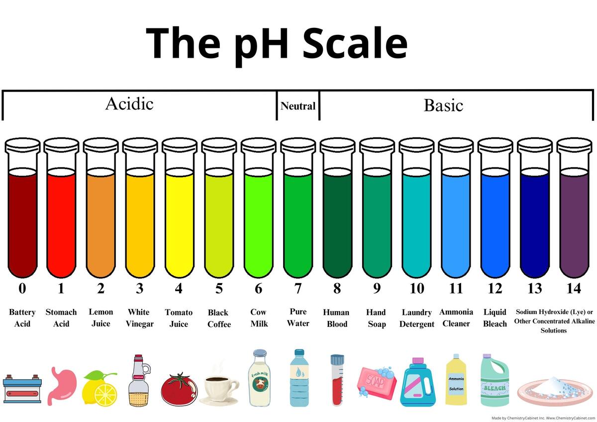 Ph Scale Etsy Sweden