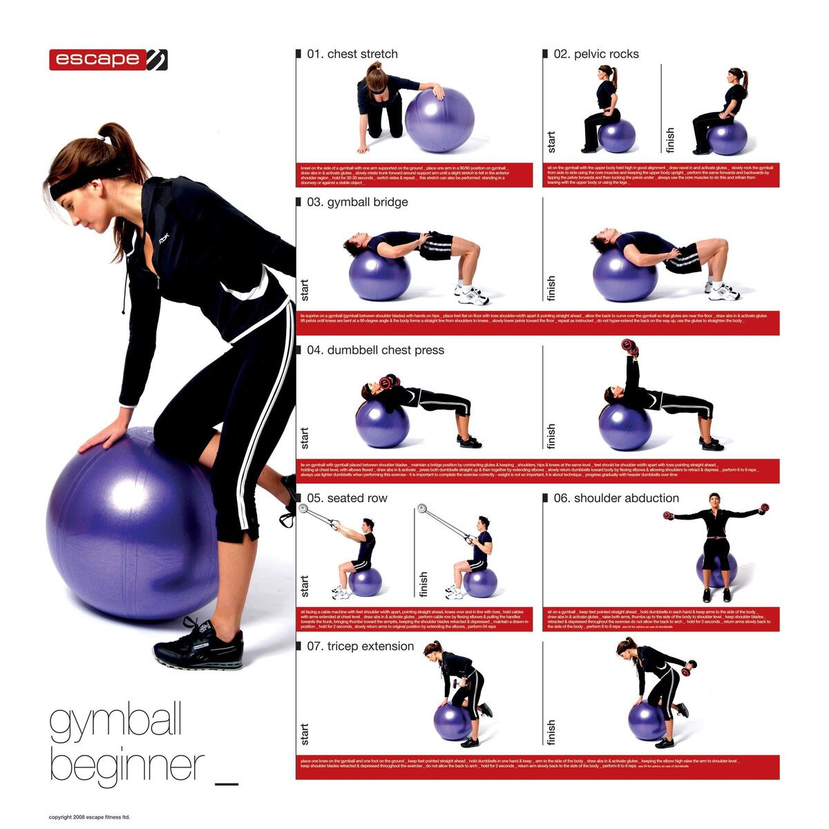 Printable Slam Ball Fitness Exercise Ball Workout Chart Chart Core Ball Workout Full Body