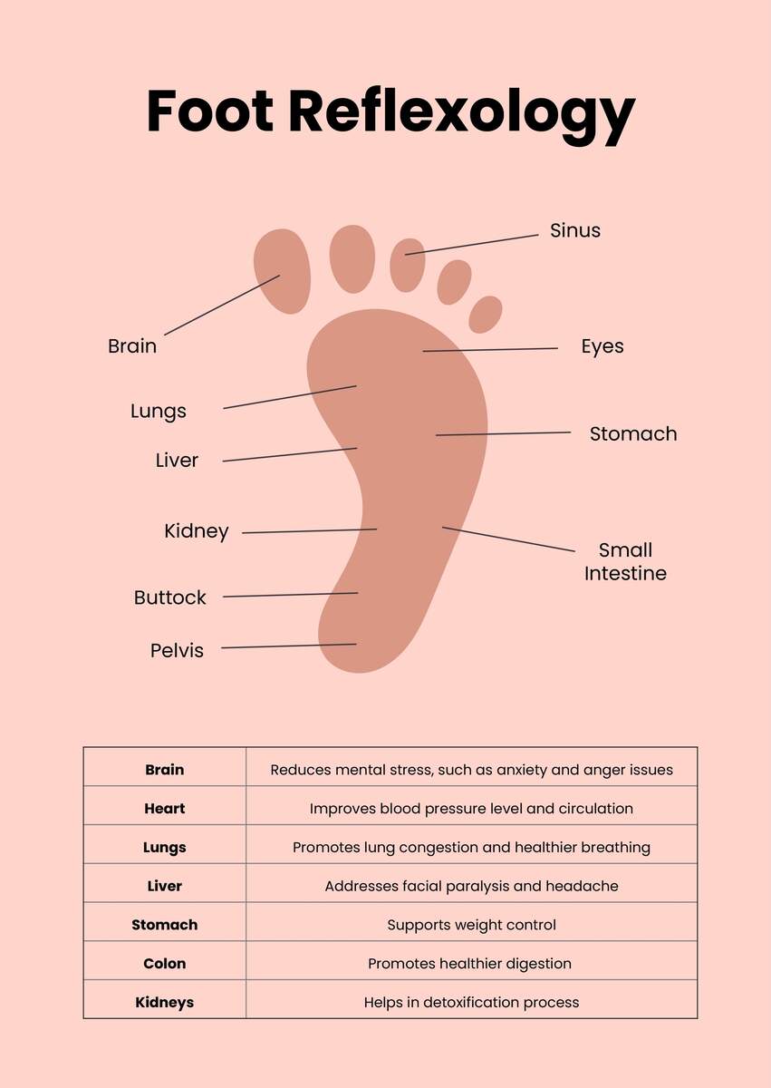 Simple Reflexology Chart In Illustrator PDF Download Template