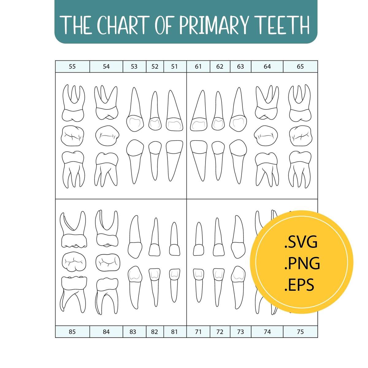 Teeth Color Chart Etsy Australia Teeth Color Chart Etsy Australia