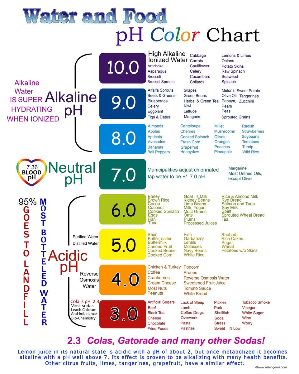 Ph Scale Etsy Sweden